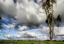 玩加电竞官网：[德甲]多特客胜海登海姆 终结联赛4轮不胜.