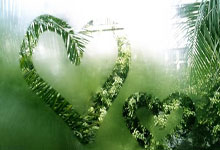 玩加电竞官网:中国女足战平加拿大 米利西奇磨合阵容2025-02-21.