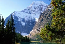 玩加电竞官网:WCBA:山东赤水河酒女篮94-76福建女篮 提前锁定季后赛席位.