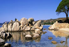 玩加电竞官网:达利奇:换下魔笛因为他体力透支,克罗地亚很多球员都已超过30岁.